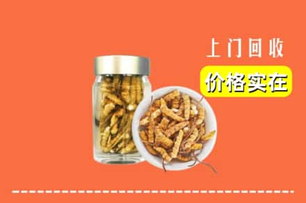 双鸭山集贤回收散虫草