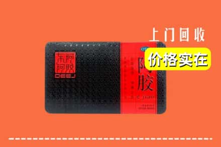 双鸭山集贤回收阿胶