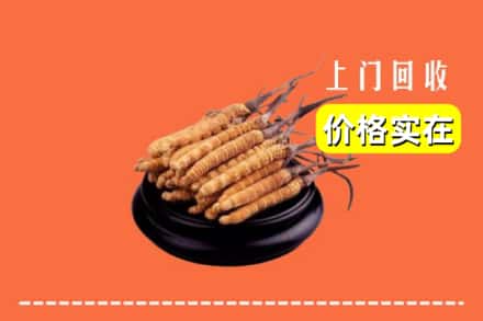 双鸭山集贤回收冬虫夏草